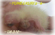 80312-yk4.JPG