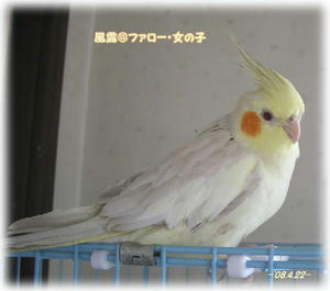 80422-fu.JPG