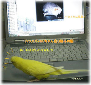 80620-pal2.JPG