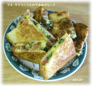 80630-p5.JPG