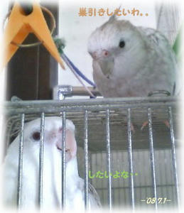 80701-kiro.jpg