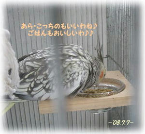 80707-8.JPG