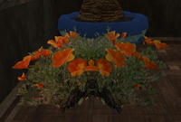EQ2_000412.jpg