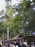 090131_1056~01.jpg