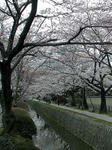 090404a.jpg