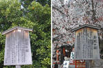 090404f.jpg