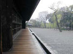 090404i.jpg