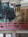 090613_1132~02.jpg