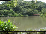 20090727d.jpg