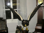 20091012d.jpg