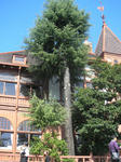 20091012e.jpg
