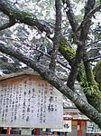 PA0_0005.JPG