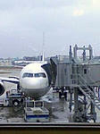 PA0_0001.JPG
