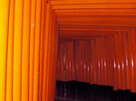 20100226b.jpg