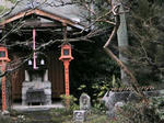 20100226c.jpg