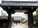20100227a.jpg