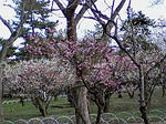 PA0_0030.JPG