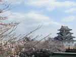 100403a.jpg
