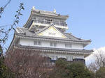 100403c.jpg