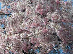 100403e.jpg