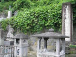 20100711b.jpg