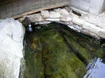 20100711f.jpg