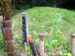 20100711h.jpg