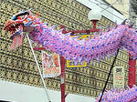 20110206b.jpg