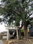 20110502b.jpg