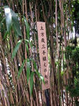 20110502c.jpg