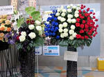 20110618a.jpg
