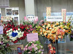 20110618c.jpg
