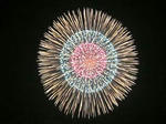 20110730a.jpg