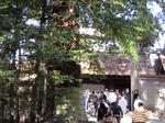 20120218b.jpg