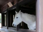20120218c.jpg