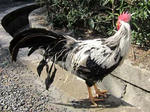 20120218d.jpg