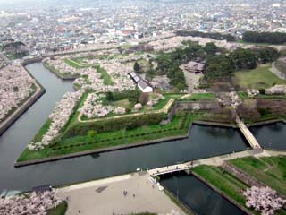 20120510b.jpg
