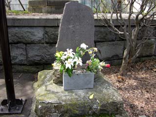 20120511b.jpg