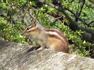 20120511g.jpg