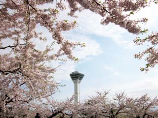 20120512e.jpg