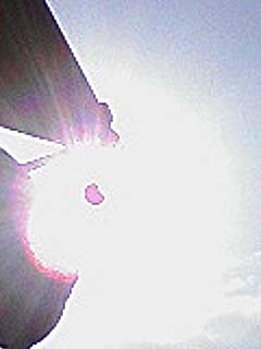 20120521a.jpg