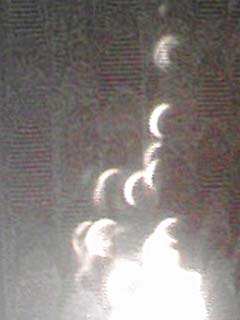 20120521b.jpg