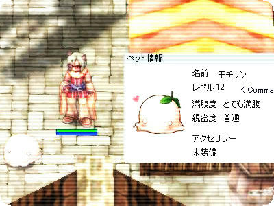 moti2.jpg