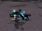 100802Beetle.jpg