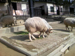 五月山動物園2