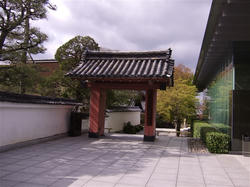 宇治_平等院1