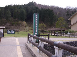 コウノトリの郷公園1