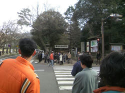 2010年初詣1