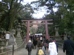 2010年初詣3