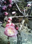 200903121459000.jpg